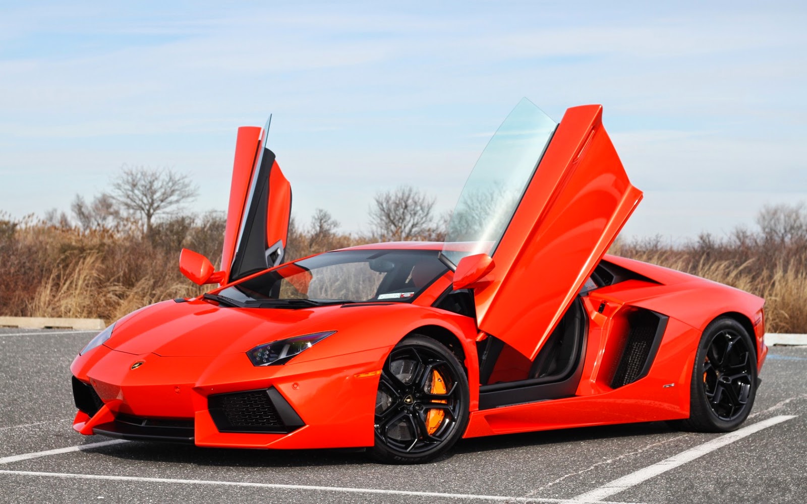 A 19-Year-Old YouTuber Bought Himself A Lamborghini Aventador