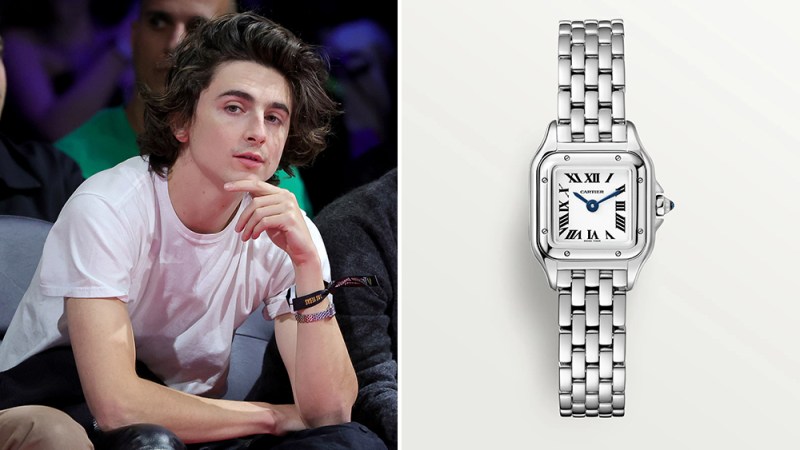 The 8 Best Watches of the Week, From Chalamet's Cartier to Efron's IWC – Robb Report