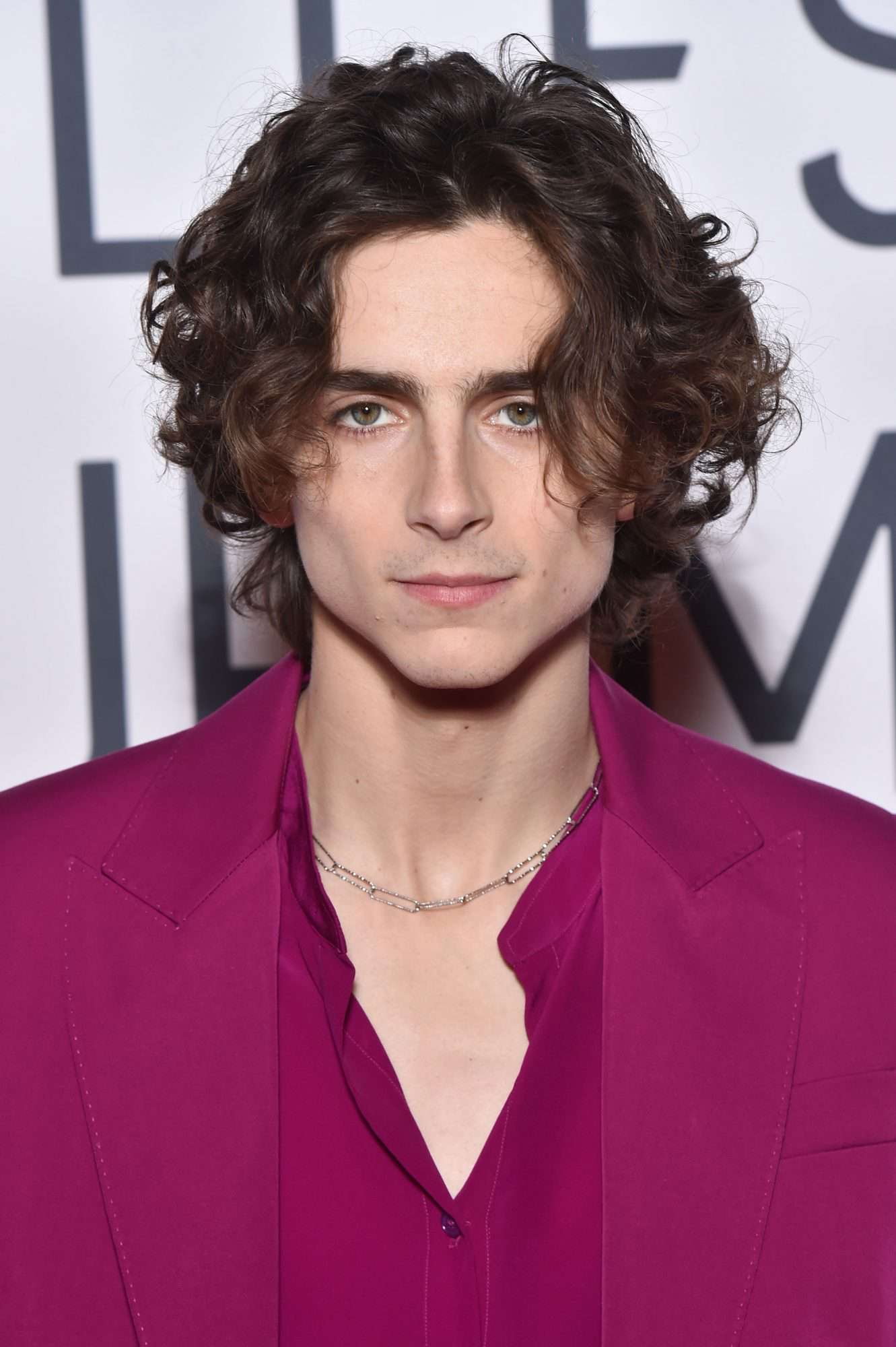 Timothée Chalamet Debuts Mustache at the 2020 National Board of Review Gala