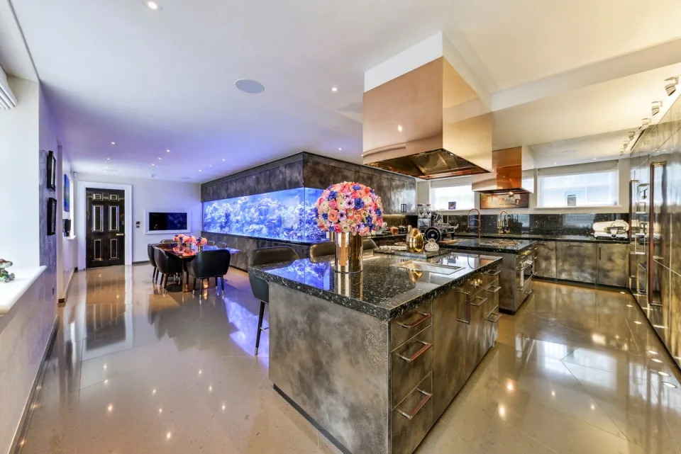 The main family kitchen has a five-metre-long fish tank containing 64 types of fish (Ben Thompson)