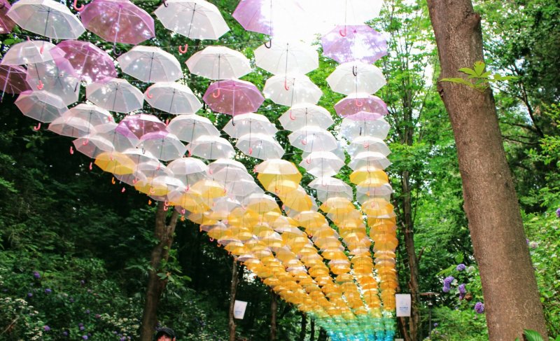 Umbrella Sky at Metsa Village 2024 - Events in Saitama - Japan Travel